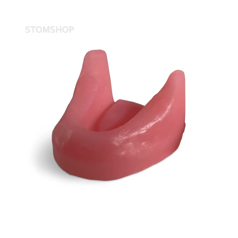 E81G – модель нижней челюсти для практики установки имплантатов | GF Dental (Италия)