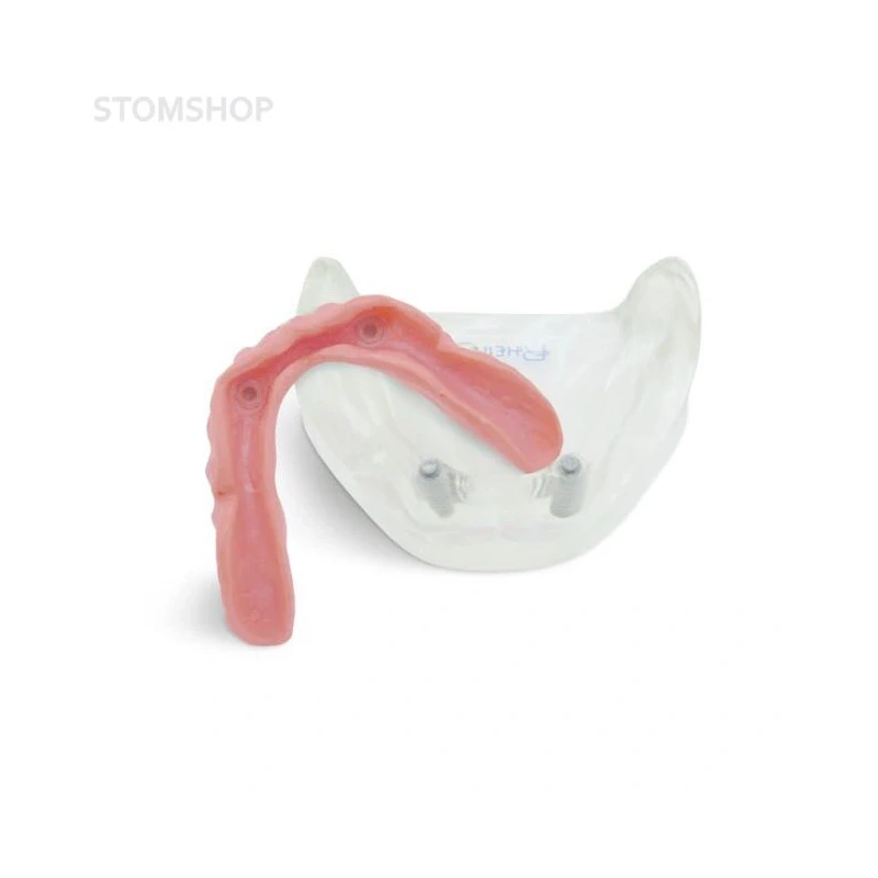 T11 – демонстрационная модель нижней челюсти с имплантами | GF Dental (Италия)