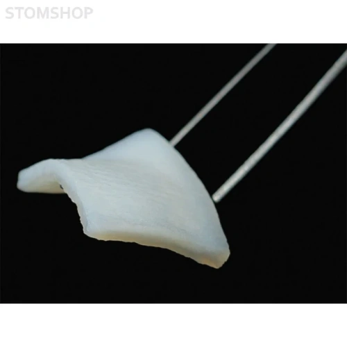 fibroMATRIX - коллагеновый 3D матрикс, размер 15x20 мм | Cardioplant (Россия)