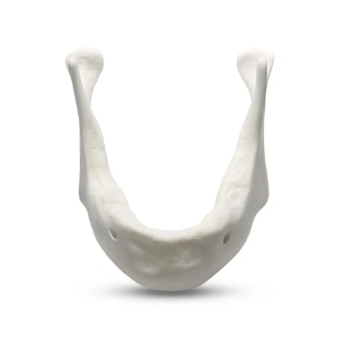 E81L – модель нижней челюсти для практики установки имплантатов | GF Dental (Италия)