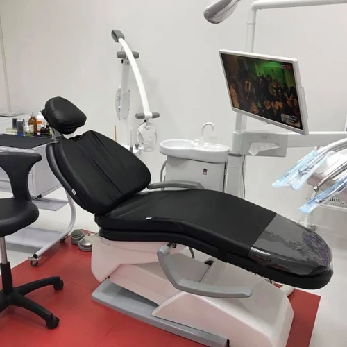 ProDENT plus - ортопедический матрас на стоматологическое кресло | Медиа-Стом (Россия)
