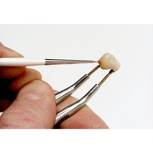 Кисточка TAKANISHI для красителей, размер 10 | Renfert (Германия)