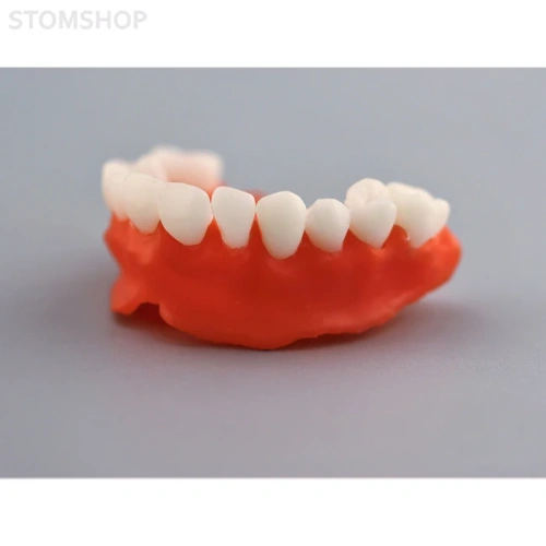 Gorky Liquid Dental Base LCD/DLP - фотополимерная смола для демонстрационных моделей десны, цвет розовый, 1 кг | Gorky Liquid (Россия)