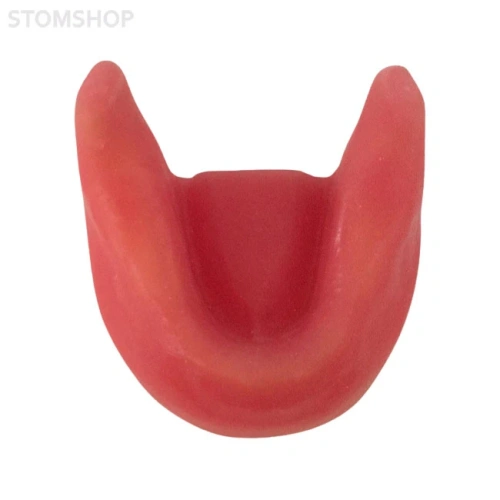 E81G – модель нижней челюсти для практики установки имплантатов | GF Dental (Италия)