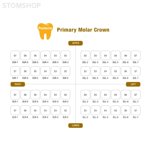 I Crown Half Kit - набор детских стоматологических коронок всех форм и размеров, 48 шт. | Seil Global (Ю. Корея)