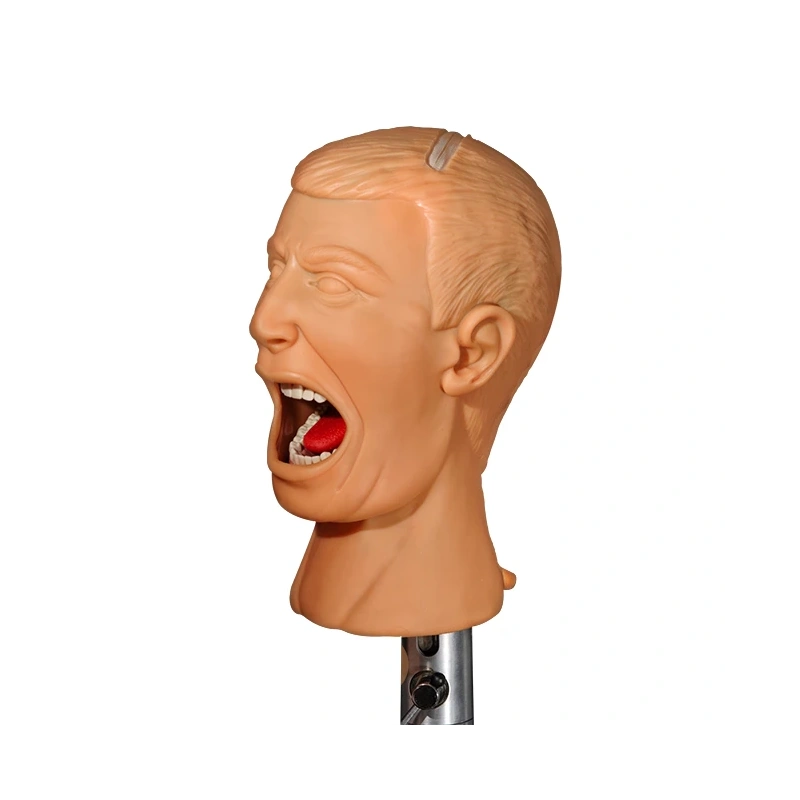 Standart - самодренируемый фантом без торса | Dentalstore (Италия)