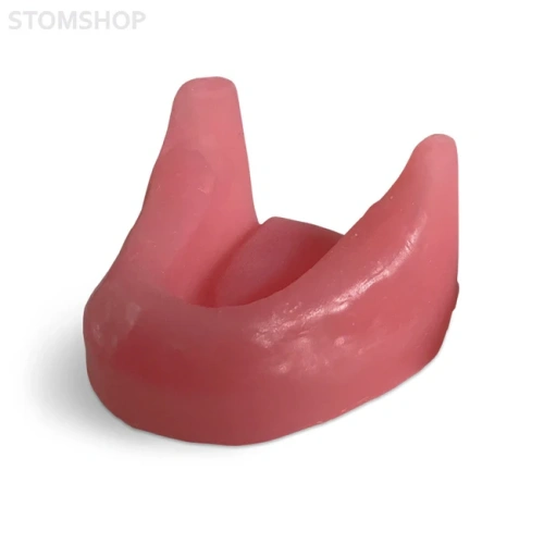 E81G – модель нижней челюсти для практики установки имплантатов | GF Dental (Италия)