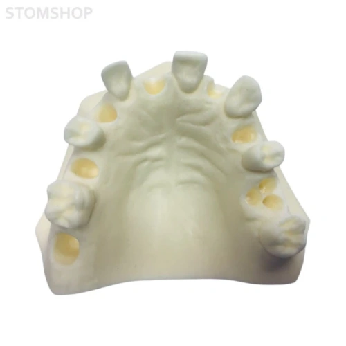 E37L – модель верхней челюсти для практики имплантологии | GF Dental (Италия)