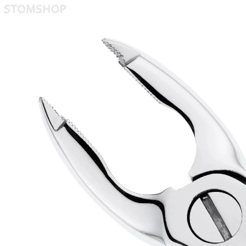 Щипцы для удаления зубов верхние премоляры (12-35A) | HLW Dental Instruments (Германия)